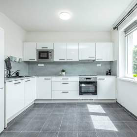 Foto inzerátu Byt 3+kk po rekonstrukci, s klimatizací, sklepem a dvojgaráží, Budihostice