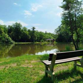 Foto inzerátu Byt 3+kk s garáží, sklepy a potenciálem Čejkovice, okres Znojmo