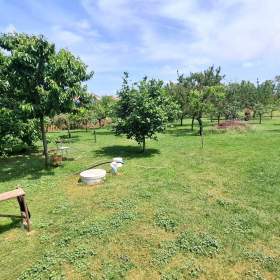 Fotka k inzerátu Stavební pozemek 1313m2 -  Čejkovice, okres Znojmo / 17729451