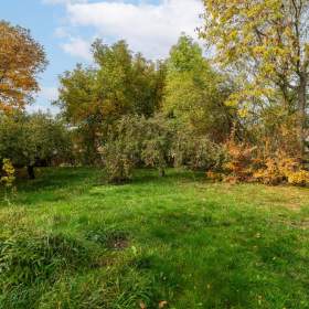 Foto inzerátu Prodej, RD s bývalým hospodářstvím a zahradou 1 613 m², Novosedly (Pšov)