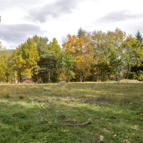 Foto inzerátu Prodej stavebního pozemku 801 m2, Chlum u Křemže