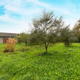 Foto inzerátu Prodej pozemku (1342 m²) v obci Maleč