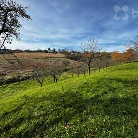 Fotka k inzerátu Prodej zahrady 901 m2, Bezuchov- okres Přerov / 19535718