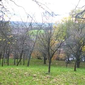 Foto inzerátu Prodej zahrady 3 492 m2 - Přílepy u Holešova-Vinohrádky