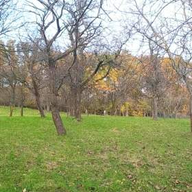 Foto inzerátu Prodej zahrady 3 492 m2 - Přílepy u Holešova-Vinohrádky