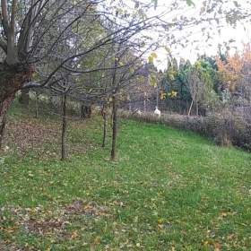 Foto inzerátu Prodej zahrady 3 492 m2 - Přílepy u Holešova-Vinohrádky