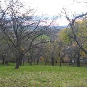 Foto inzerátu Prodej zahrady 3 492 m2 - Přílepy u Holešova-Vinohrádky