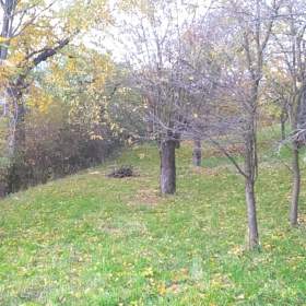 Foto inzerátu Prodej zahrady 3 492 m2 - Přílepy u Holešova-Vinohrádky