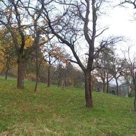 Foto inzerátu Prodej zahrady 3 492 m2 - Přílepy u Holešova-Vinohrádky