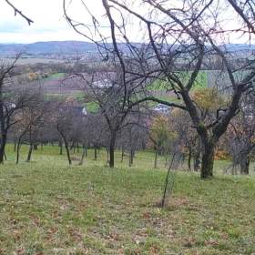 Foto inzerátu Prodej zahrady 3 492 m2 - Přílepy u Holešova-Vinohrádky