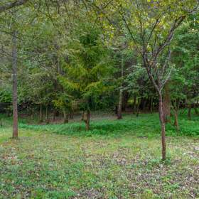 Foto inzerátu Rodinný dům 180m² , pozemek 2771m² , Vojkovice