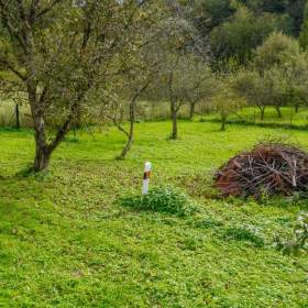Foto inzerátu Rodinný dům 180m² , pozemek 2771m² , Vojkovice