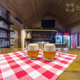 Foto inzerátu Prodej domu 300 m², pozemek 2372 m² Ryžoviště