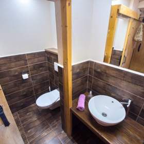 Foto inzerátu Prodej domu 300 m², pozemek 2372 m² Ryžoviště