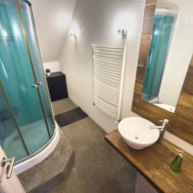 Foto inzerátu Prodej domu 300 m², pozemek 2372 m² Ryžoviště