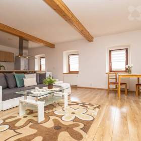 Prostorný dům s dílnou a stodolou -  Sedlec u Vysokého Mýta / 19631679