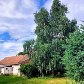 Foto inzerátu Rodinný dům 105 m2, 2+1, pozemek 1313 m2