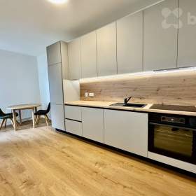 Pronájem bytu Brno-  centrum / 19642993