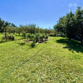 Foto inzerátu Prodej rodinného domu Holubice