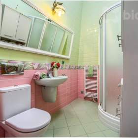 Foto inzerátu Prostorný rodinný dům 5+1, 256 m2, zahrada 1249 m2, Středokluky