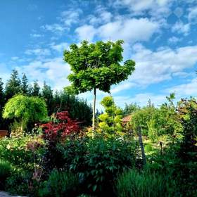 Foto inzerátu Prostorný rodinný dům 5+1, 256 m2, zahrada 1249 m2, Středokluky