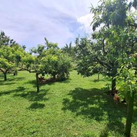 Výjimečný pravidelný rovný stavební pozemek -  Čejkovice, okres Znojmo / 19660826
