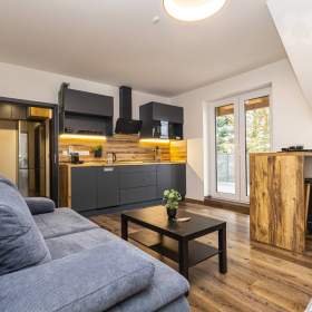 Nabídka prodeje apartmánového bytu 1+kk 37m2 s terasou 28m2. Vrbno pod Pradědem. / 19662139