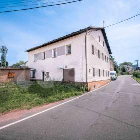 Prodej rozsáhlého rodinného domu s možností přestavby na bytový dům v České Čermné. / 19662417