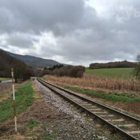 Foto inzerátu Prodej pozemku Boskovice, 4.182 m2, investiční příležitost