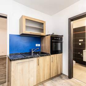 Prodej rodinného domu 4+1, 527 m2 Byňov u Nových Hradů / 19676194