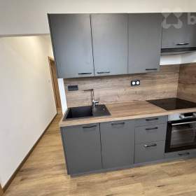 Pronájem rekonstruovaného bytu, 3+1, ul. 1. Máje, Kaplice / 19679735