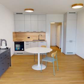 Podnájem bytu 1+kk, U Hájenky 2186/1, Ostrava / 19602651