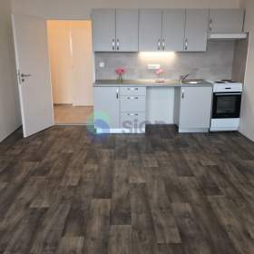 Podnájem bytu 1+kk 32 m2, ul. Jana Maluchy 127/9, Ostrava -  Dubina / 19607758