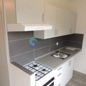 Podnájem bytu 1+1 40 m2, ul. Proskovická 663/63, Ostrava - Výškovice / 19607889