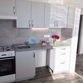 Prodej bytu 2+1, 44 m, ul. V. Vlasákové, Ostrava -  Bělský les / 19649021