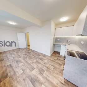 Podnájem bytu 1+kk, 25 m2, Janáčkova 157 / 19655819