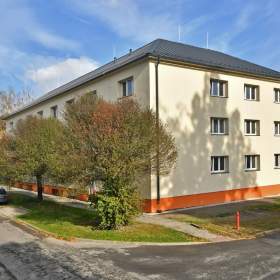 Licitace 1+1 -  Nerudova 468, Nový Bohumín / 19502920