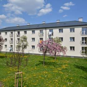 Licitace 1+2 -  Vrchlického 913, Nový Bohumín / 19511305