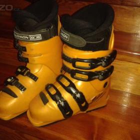 Prodám lyžařské boty. / 11317515