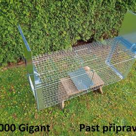 Fotka k inzerátu Past na kuny, lasičky a kočky / 19446792