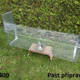 Fotka k inzerátu Past oboustranná velká na kuny, lasičky, kočky a lišky / 19424892