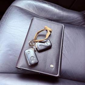 Foto inzerátu Lexus RX 450h 450h, ČR