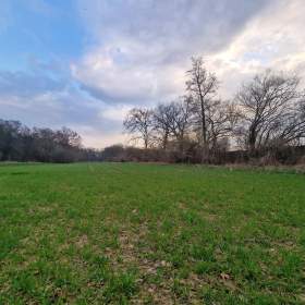 Foto inzerátu Prodej pozemků 19 402 m2, Újezd u Průhonic - Praha a Průhonice - Průhonice.