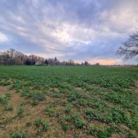 Foto inzerátu Prodej pozemků 34.460 m2, Újezd u Průhonic - Praha a Průhonice - Průhonice.