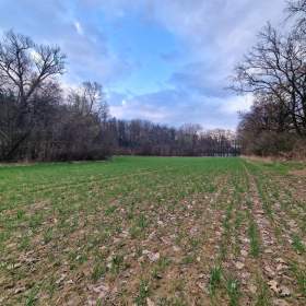 Foto inzerátu Prodej pozemků 34.460 m2, Újezd u Průhonic - Praha a Průhonice - Průhonice.