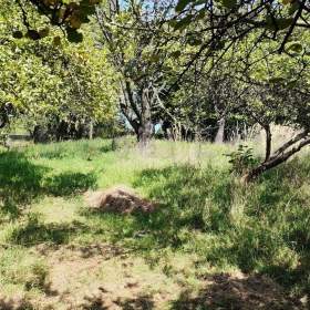 Foto inzerátu Prodej pozemku, stavební – bydlení, 1 607 m2, Koblov, okr. Ostrava