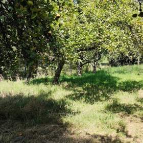 Foto inzerátu Prodej pozemku, stavební – bydlení, 1 607 m2, Koblov, okr. Ostrava