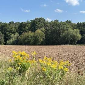 Foto inzerátu Prodej pozemků 12.939 m2, Újezd u Průhonic, Praha 4