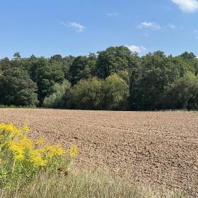 Foto inzerátu Prodej pozemků 12.939 m2, Újezd u Průhonic, Praha 4