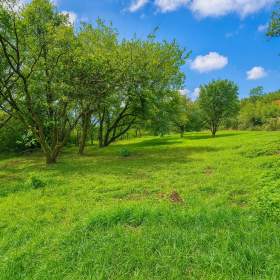 Foto inzerátu Prodej stavebního pozemku, 1255m2, Drevníky, okr. Příbram